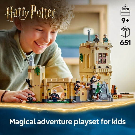 LEGO Harry Potter Hogwarts Castle: Flying Lessons Building Toy - Kids Wizard Toy for Boys ...